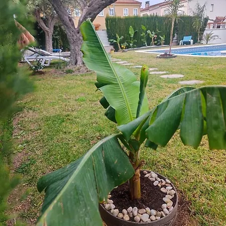 Lujosa Con Spa, Piscina Y Sala De Juegos Privados Miami Playa