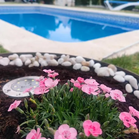 Lujosa Con Spa, Piscina Y Sala De Juegos Privados Miami Playa