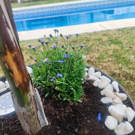 Lujosa Con Spa, Piscina Y Sala De Juegos Privados Villa