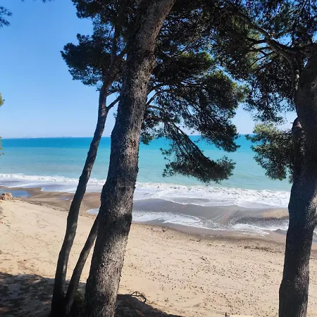 Lujosa Con Spa, Piscina Y Sala De Juegos Privados Villa *